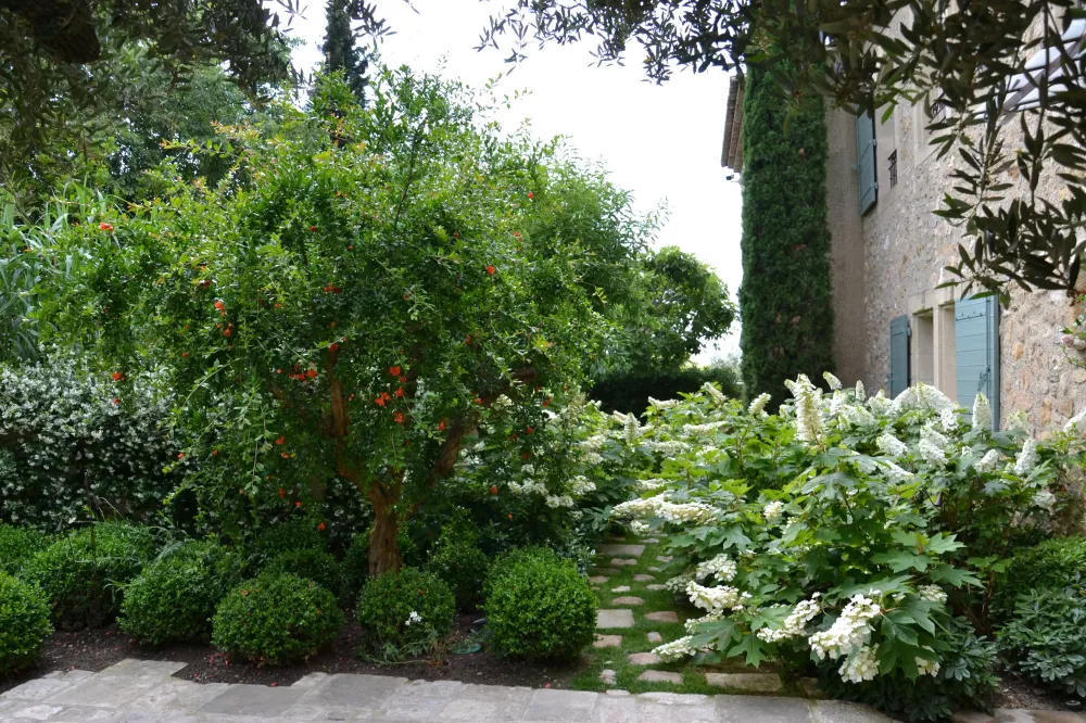 Réalisation Priaulet Jardins - Massif d'hortensia - hydrangea quercifolia